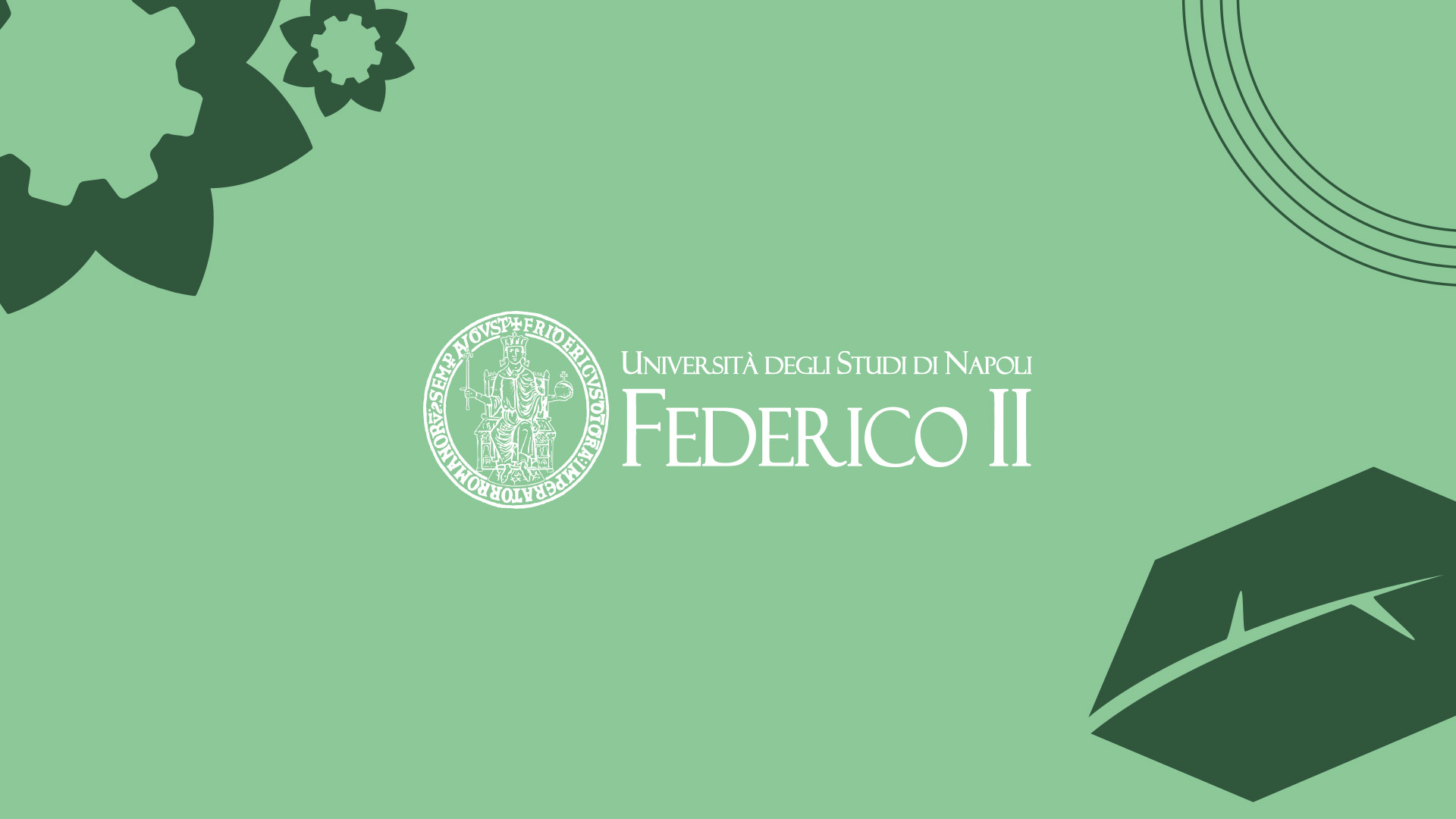 Progetto di comunicazione per l'Università di Napoli Federico II